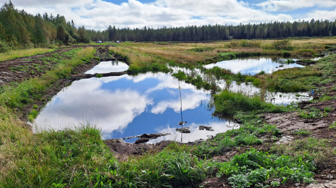 Liejuojan pellon monihyötyinen kosteikko Utajärvellä