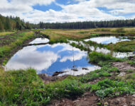 Liejuojan pellon monihyötyinen kosteikko Utajärvellä