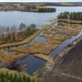 Viitasaari_Kanervalan kosteikko. Kuva Heikki Helle