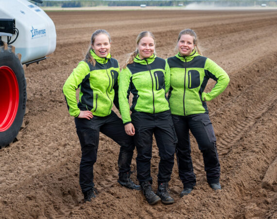 penttilan-perunasiskot-viljely