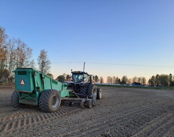 Kangasaho kivenkeräys