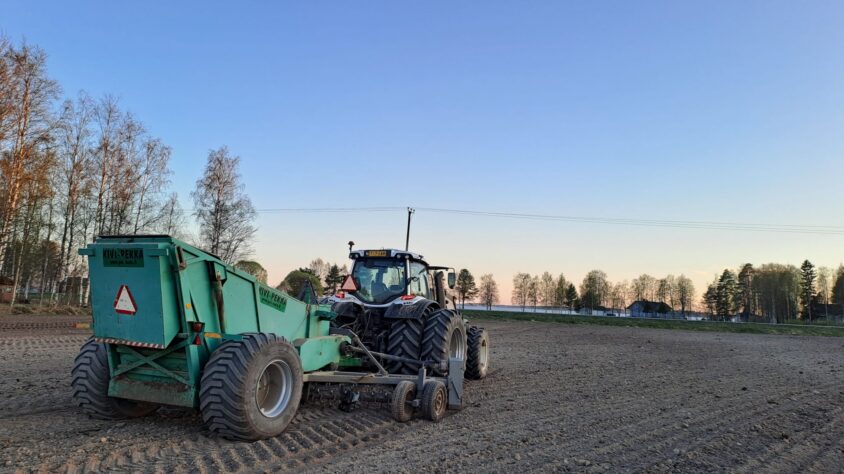 Kangasaho kivenkeräys