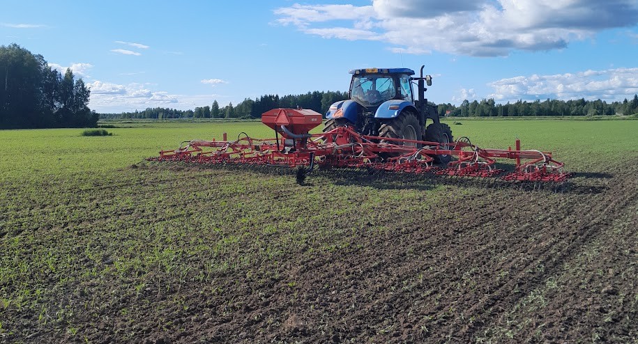 Kauranen rikkaäestys