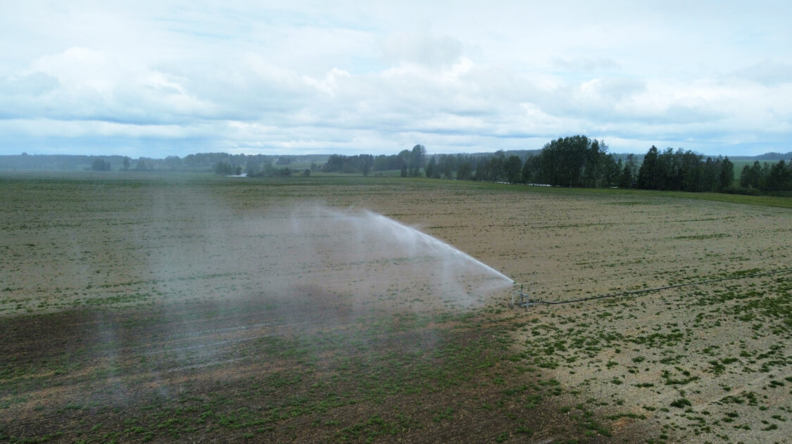 dji_fly_20230602_113430_633_1685694880514_photo_optimized