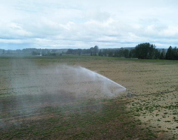 dji_fly_20230602_113430_633_1685694880514_photo_optimized