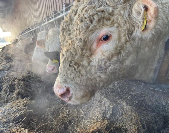 67b0b30f-e0ae-474d-a252-89435547809d