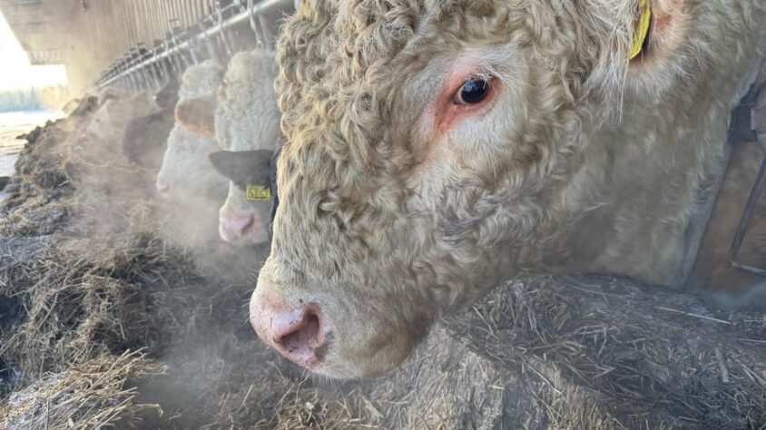 67b0b30f-e0ae-474d-a252-89435547809d