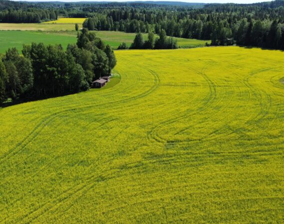 RemoteMediaFile_6554232_0_2022_07_04_14_30_14