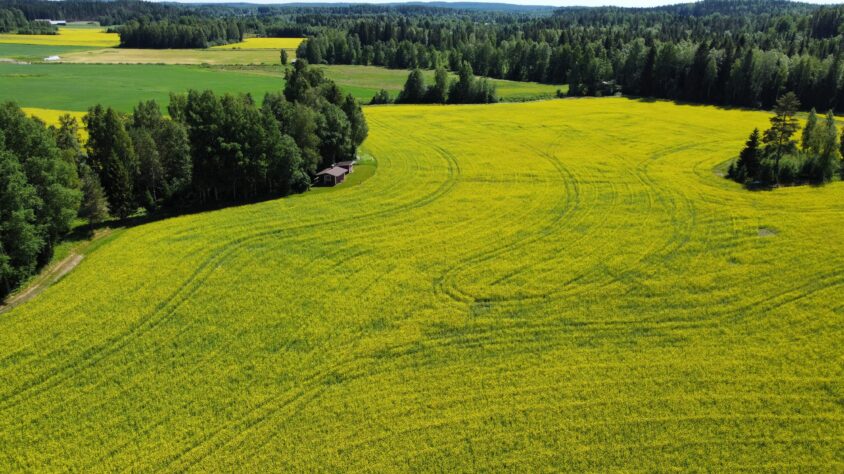 RemoteMediaFile_6554232_0_2022_07_04_14_30_14