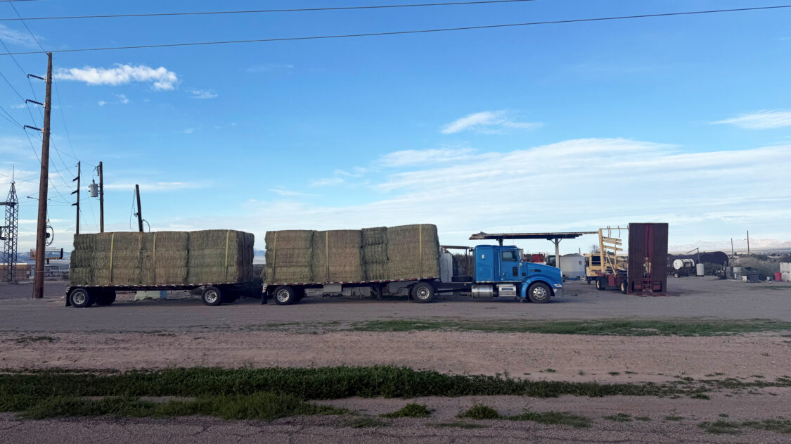 12 paalirekka Juho-Antti Junno