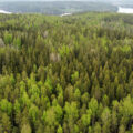 DCIM108MEDIADJI_0684.JPG