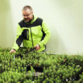 LUKE_laukansaari_giants_hires_DSC7613_uutiskuva