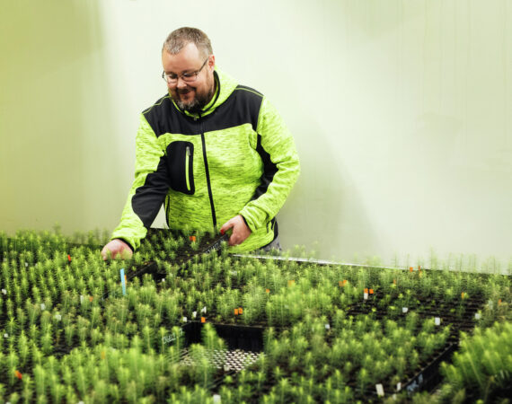 LUKE_laukansaari_giants_hires_DSC7613_uutiskuva