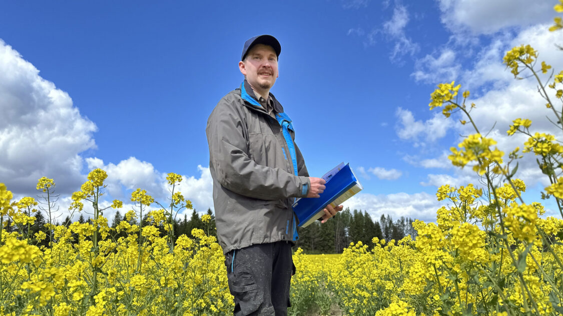 lassi